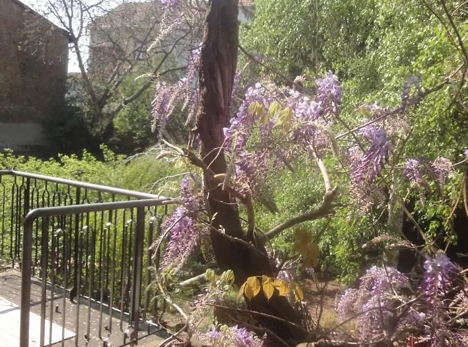 Διαμέρισμα Le Jardin Des Remparts Κολμάρ